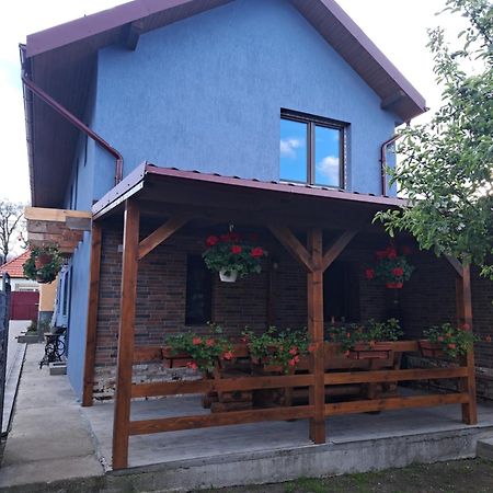 Vila Casa Rustica Saceleana Exteriér fotografie