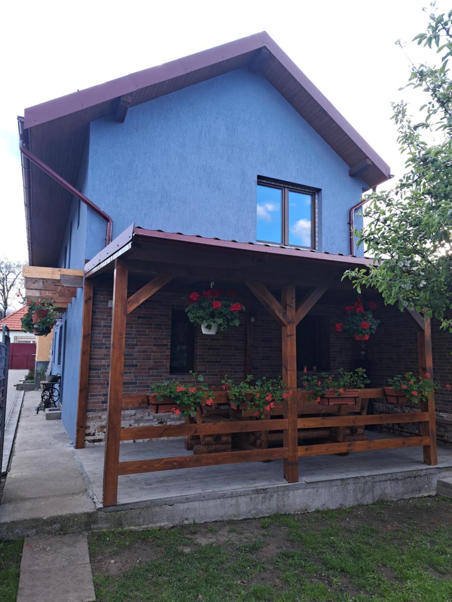 Vila Casa Rustica Saceleana Exteriér fotografie
