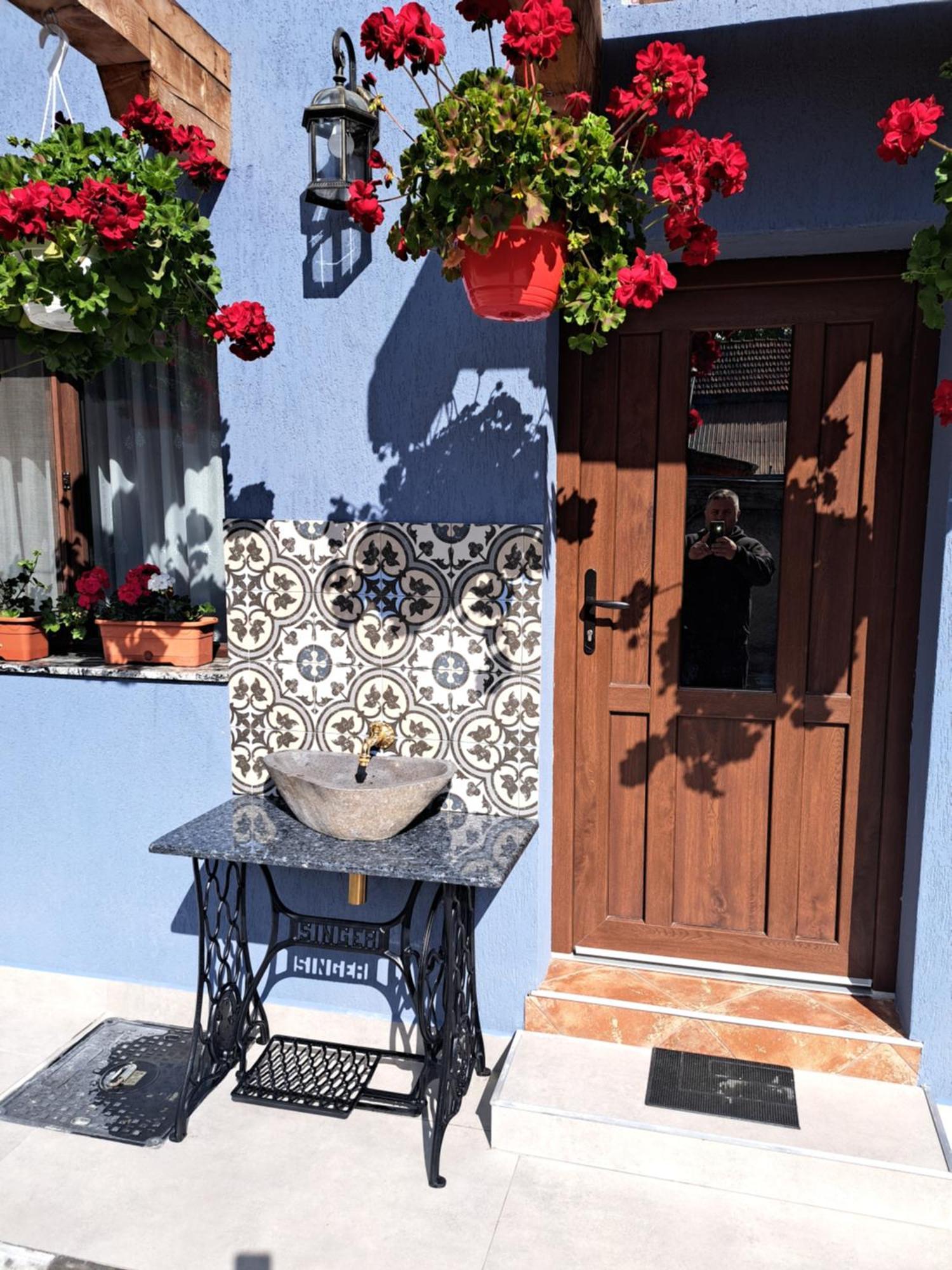 Vila Casa Rustica Saceleana Exteriér fotografie