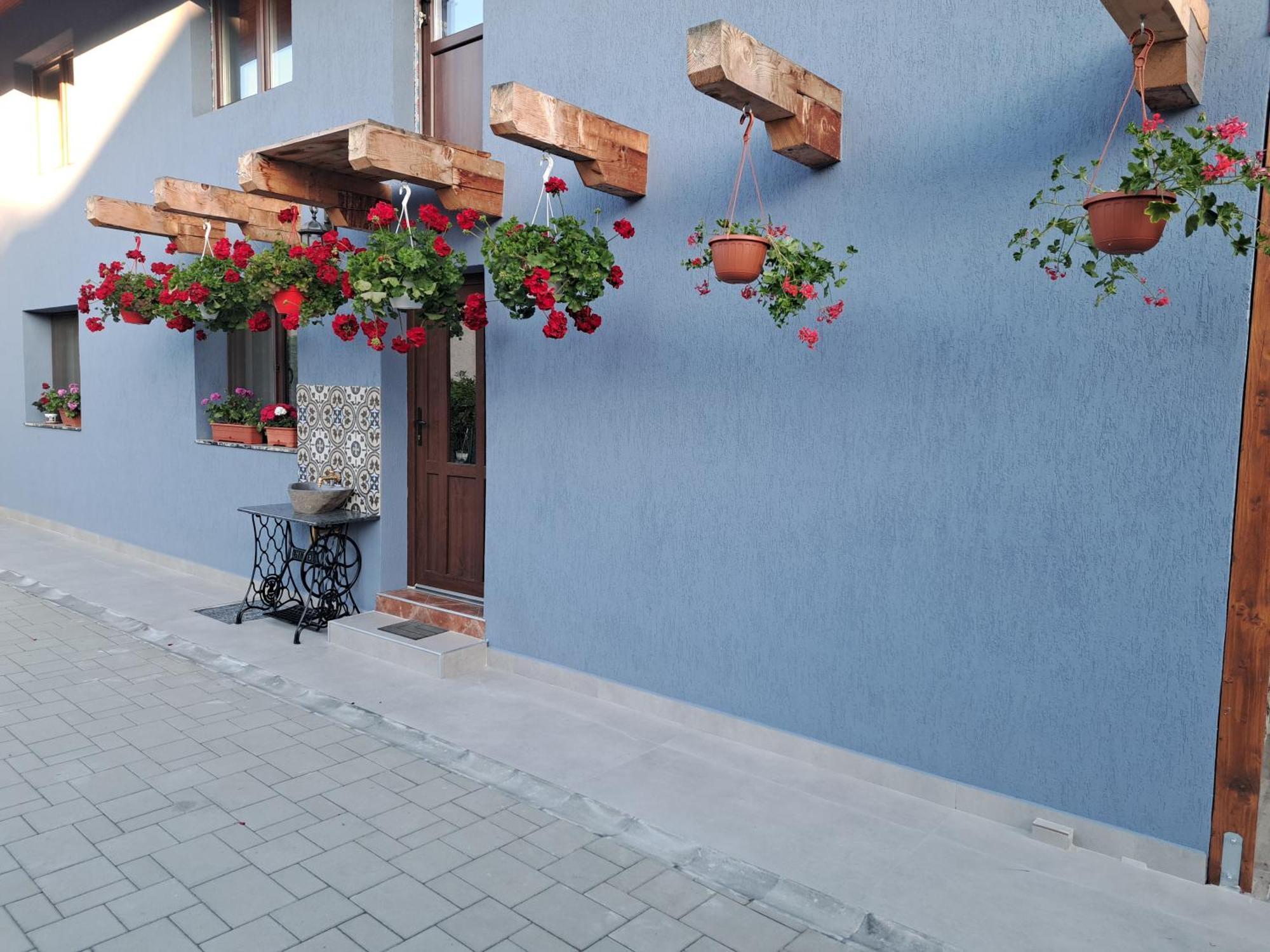 Vila Casa Rustica Saceleana Exteriér fotografie